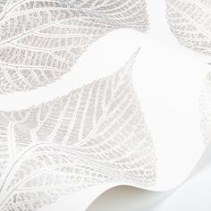 a close up view of a leaf pattern on a white background