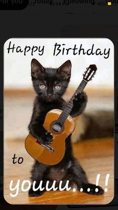 a black kitten is holding a guitar and looking at the camera with happy birthday to you written on it