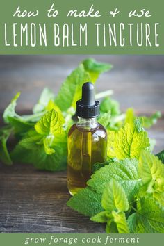 a bottle of lemon balm tincture next to fresh mint leaves