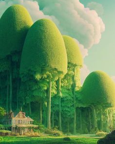 a group of trees in the middle of a lush green field with a house on it