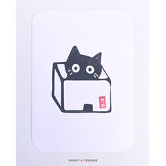 a black cat sitting in a box with eyes drawn on it