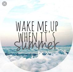 the words wake me up when it's summer