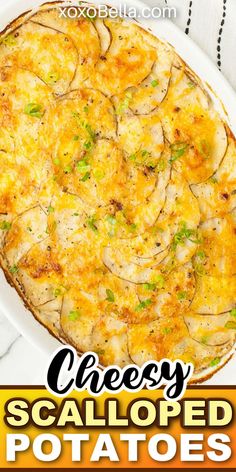 Scalloped potatoes with cheese Parmesan Scalloped Potatoes, Scalloped Potatoes Au Gratin, Cheesy Scalloped Potatoes, Au Gratin Potato Recipes, Flavorful Shrimp, Au Gratin Recipes, Scalloped Potatoes Cheesy, Gratin Dish, Yummy Meals