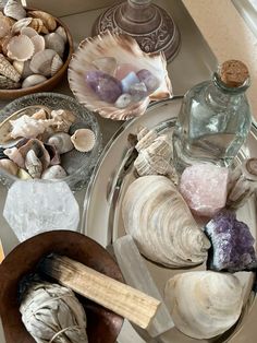 various seashells and rocks in bowls on a table