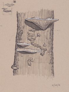 a drawing of two boats floating on top of a lake next to a tree trunk