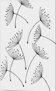 black and white drawing of dandelions on a white background