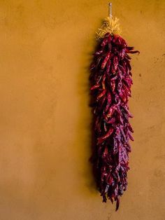 a bunch of red peppers hanging on a wall next to a yellow wall with no one in it