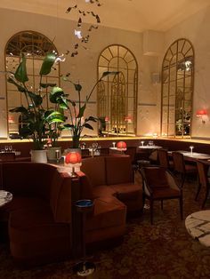 a restaurant with tables, chairs and plants in the middle of the dining room area