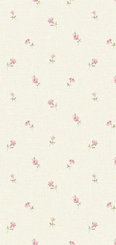 a white background with pink flowers on it