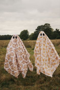 two cloths with eyes on them are in the middle of a grassy field,