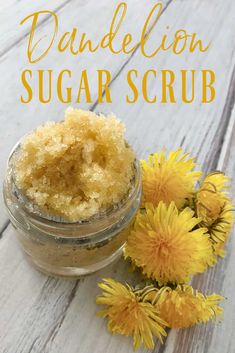 Turn those weeds in the yard into a DIY skincare product with this sunny DIY dandelion sugar scrub that helps soothe and rejuvenate the skin! Diy Dandelion, Natural Sugar Scrubs, Salve Recipes, Sugar Scrub Homemade, Sugar Scrub Recipe, Sugar Scrub Diy, Homemade Lotion