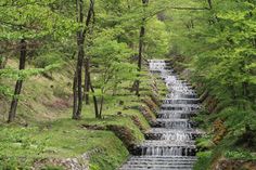 a small waterfall in the middle of a forest with lots of trees and grass on both sides