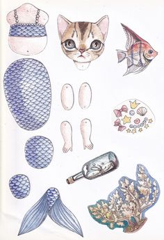 a drawing of different types of fish and marine life