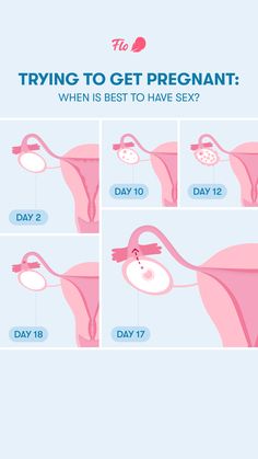 how to get pregnant in the right way info graphic design illustration breast anatomy diagram poster