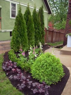 a garden with flowers and shrubs in front of a house