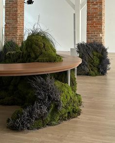 moss covered benches in an empty room with brick pillars