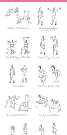 an exercise poster showing the different exercises to do