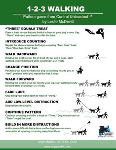 a poster with instructions on how to use the walking rules for dogs, cats and other animals