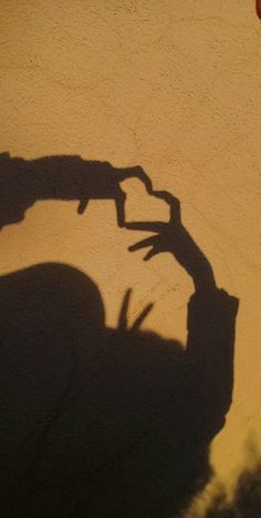 the shadow of a person's hand on top of a skateboard in front of a wall