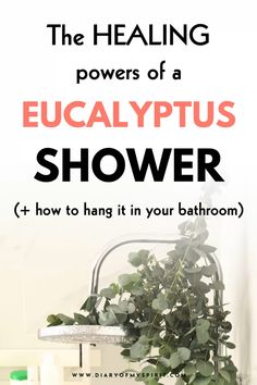 the power of a eucalyptus shower + how to hang it in your bathroom