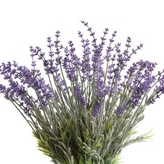 lavender flowers in a vase on a white background