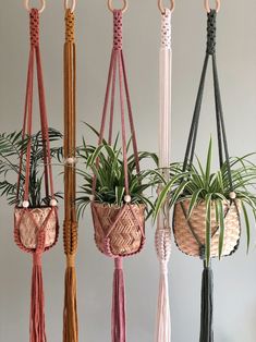 four hanging planters with plants in them, one is pink and the other is brown