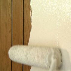 a close up of a white paint roller on a wood door with the wall painted off