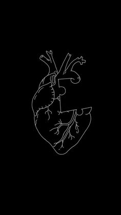 a black and white drawing of a human heart