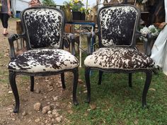 two chairs with black and white cow hide upholstered on them sitting in the grass