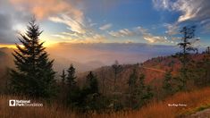 the sun is setting in the mountains with tall grass and trees on either side of the road