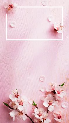 some white flowers on a pink background