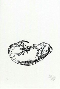 a black and white drawing of a doughnut on a paper towel with writing underneath