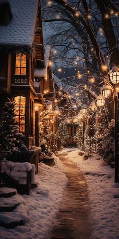 a snow covered street with lights strung from the trees