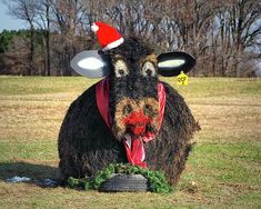 a cow with a santa hat on its head is sitting in the middle of a field