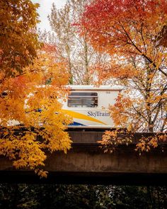 a train traveling over a bridge surrounded by trees with orange and yellow leaves on it