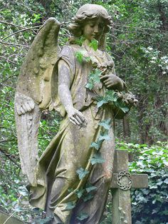 an angel statue with ivys around it's neck and wings, in the woods