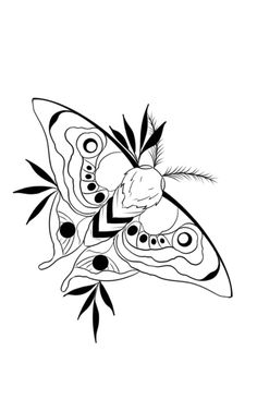 a black and white drawing of a butterfly