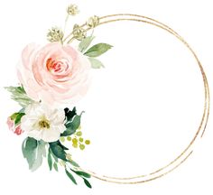 a watercolor painting of pink roses and greenery on a white background with a gold circle