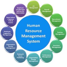 the human resources management system is depicted in this graphic above it's colorful circles