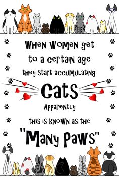 an image of cats and dogs with the quote when women get to a certain age they start accomulating