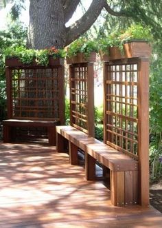 a wooden bench sitting under a tree on top of a hard wood floored walkway