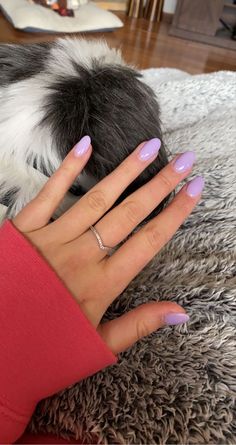 Nails Acrylic Medium Length Almond, Lavender Purple Almond Nails, Purple Gel Dip Nails, Summer Acrylic Nails Oval Shape, Purple Acrylic Nails Almond Shape, Simple Nail Ideas Almond Shape Short, Round Lavender Nails, Lavender Almond Nails French Tip, Pink Or Purple Nails