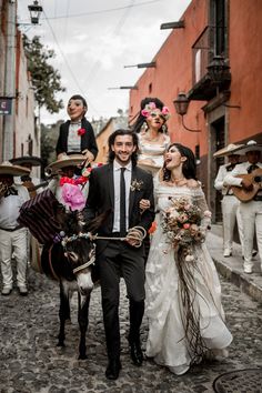 a bride and groom are walking down the street with a cow in tow behind them