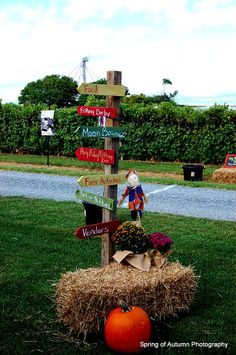 a wooden pole with many signs on it in the grass next to a pumpkin and hay bale