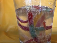 a glass filled with water and candy canes