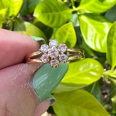 a person holding a ring in their hand with green leaves around it and bushes behind them