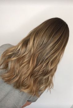 Honey Blonde Hair Brunette, Dorty Blonde Hair Natural, Subtle Honey Blonde Highlights, Honey Babylights, Natural Highlights For Light Brown Hair, Golden Brown Hair Honey, Light Golden Brown Hair, Golden Highlights, Golden Brown Hair