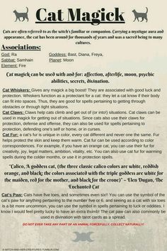 Witchy Tips, Easy Spells, Magia Das Ervas, Animal Spirit Guides, Wiccan Magic, Magic Spell Book, Grimoire Book, Eclectic Witch