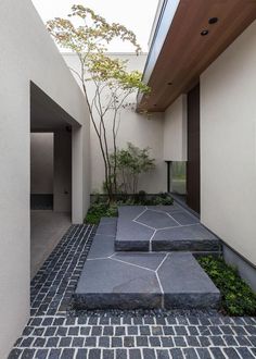 an outdoor courtyard with stone steps and plants