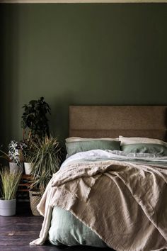 a bedroom with green walls and a bed covered in linens next to a potted plant